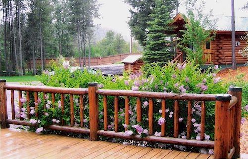 Silverwolf Log Chalets Coram المظهر الخارجي الصورة